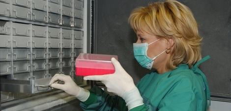 Mitarbeiterin in einem L3-Labor. Quelle: © RKI