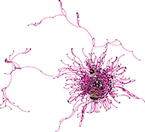 künstlerisch aufbereitete Darstellung der evolutionären Landschaft von HIV-1 Subtyp B (Knoten = Varianten; Kanten = genomische Distanz 1). Quelle: © Max von Kleist/RKI