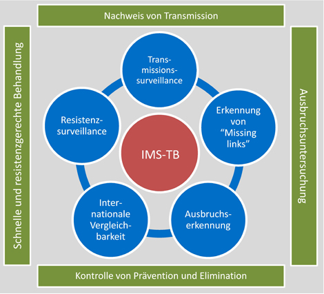 Abbildung mit Zielen des PHIMS-TB-Projektes, grafisch dargestellt. (© RKI) Abbildung mit Zielen des PHIMS-TB-Projektes, grafisch dargestellt.