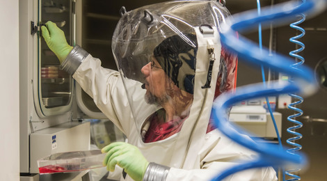 Entnahme infizierter Zellen aus dem Brutschrank im S4-Labor des Robert Koch-Instituts. Quelle: © Schnartendorff/RKI