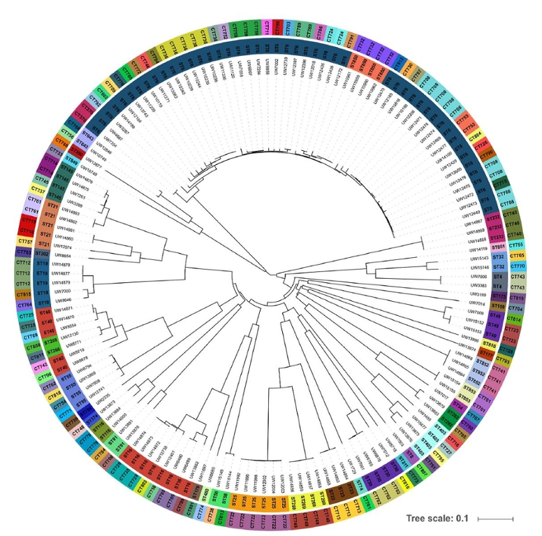 Kollektion an Isolaten, welche für die Erstellung des coregenome(cg)MLST Schemas verwendet wurde (© Neumann et al., 2019, J Clin. Microbiol. 57: pii: e01686-18) Kollektion an Isolaten, welche für die Erstellung des coregenome(cg)MLST Schemas verwendet wurde