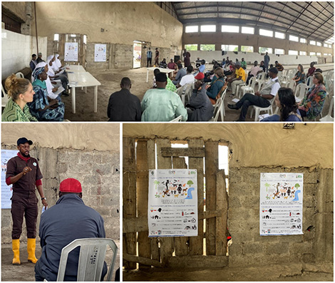 Eindrücke von der Vorstellung und Diskussion von Forschungsergebnissen in einem Schlachthof in Abuja. Quelle: FLI (oben), RKI (unten links und rechts)