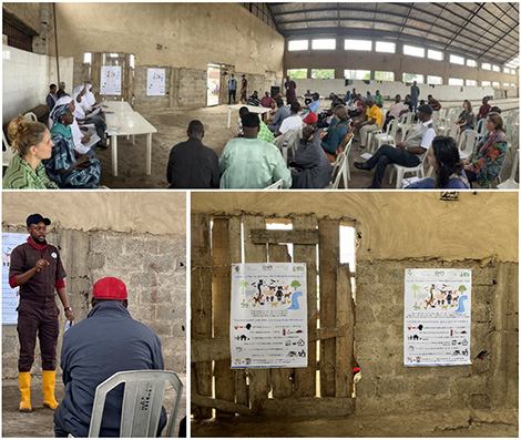 Eindrücke von der Vorstellung und Diskussion von Forschungsergebnissen in einem Schlachthof in Abuja. (© FLI (oben), RKI (unten links und rechts)) Eindrücke von der Vorstellung und Diskussion von Forschungsergebnissen in einem Schlachthof in Abuja.